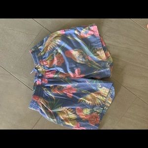 Chubbies 5” inseam Parrot trunks